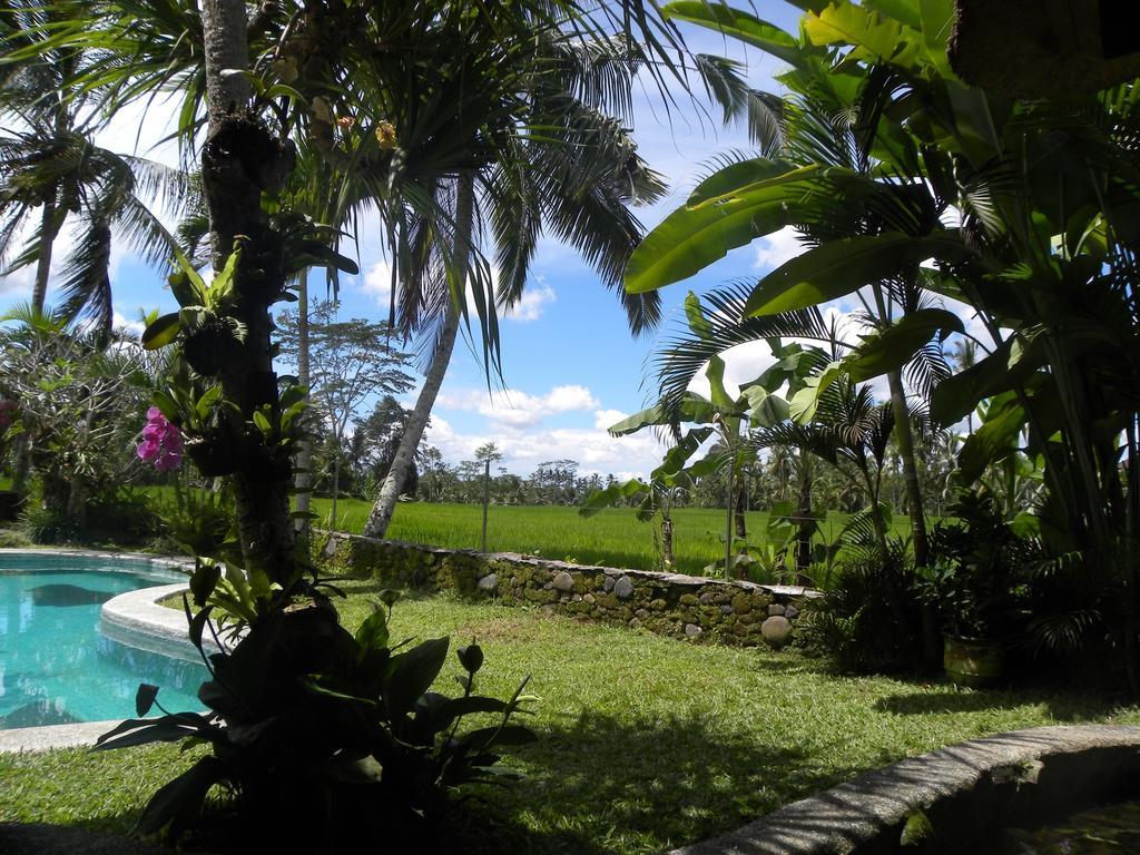 Saudara Home Ubud Екстер'єр фото
