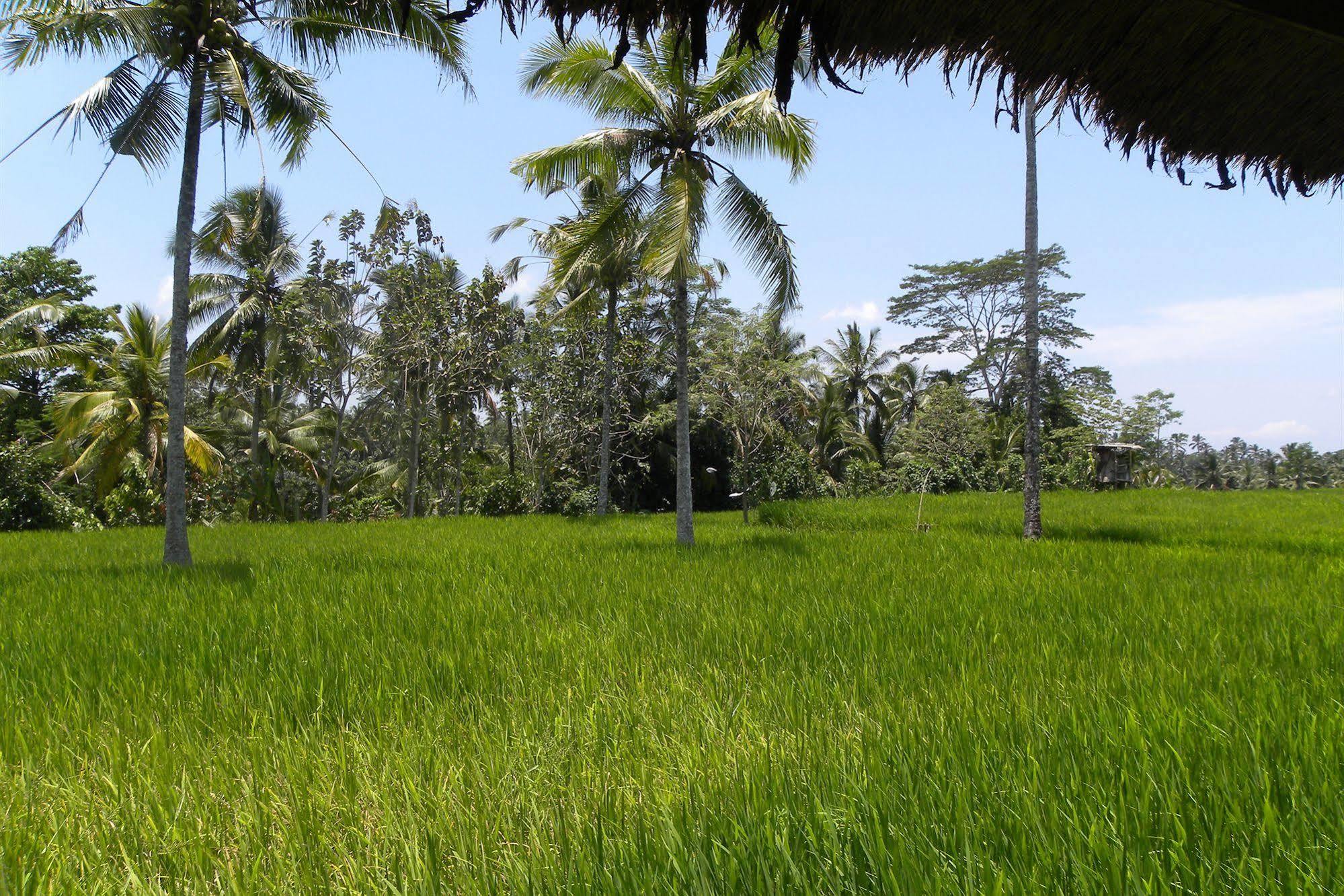 Saudara Home Ubud Екстер'єр фото