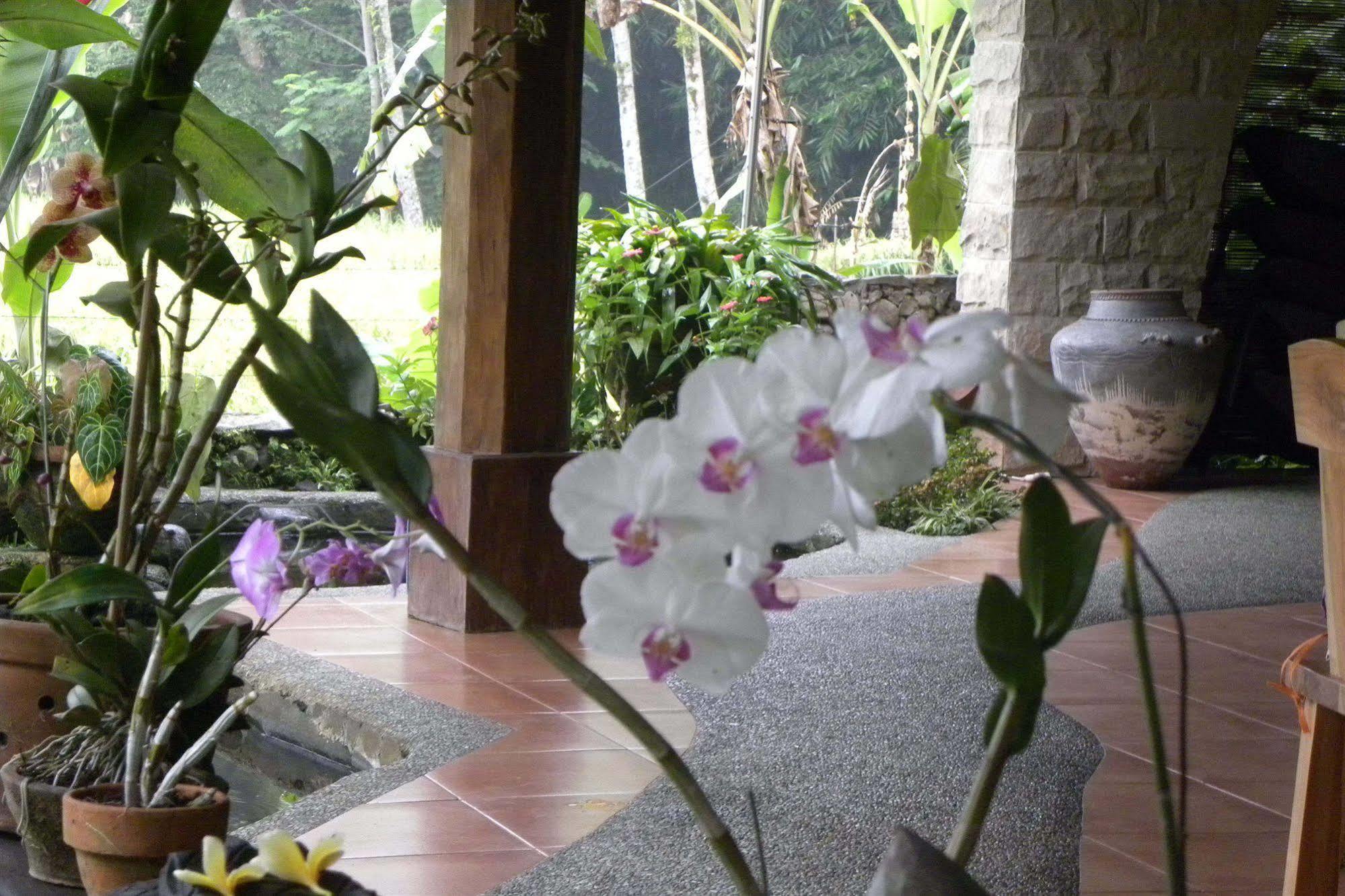 Saudara Home Ubud Екстер'єр фото
