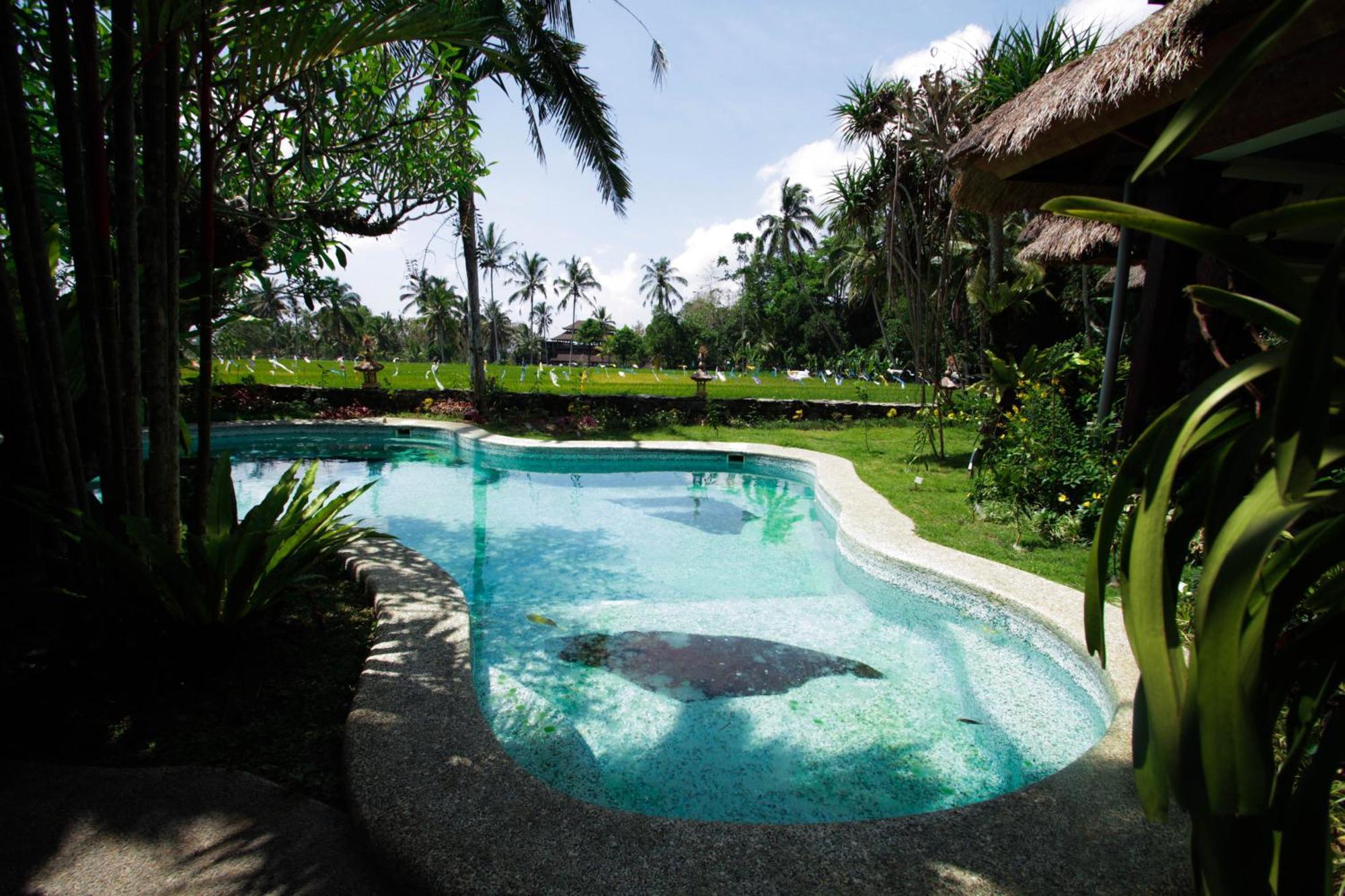Saudara Home Ubud Екстер'єр фото